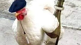 Timeline: Historia Del Desarrollo Sustentable