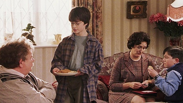 Harry talks to his aunt uncle and cousin