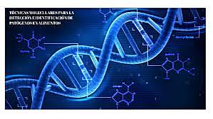 Técnicas moleculares