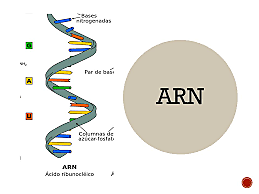 ARN