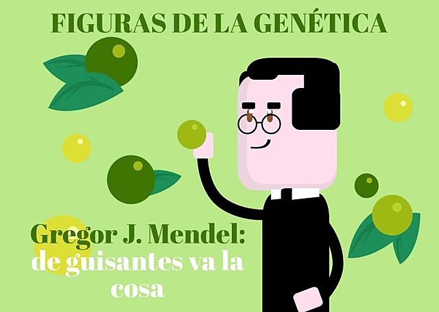 Los guisantes de Mendel