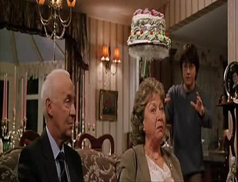 Dobby dropped pudding on guests