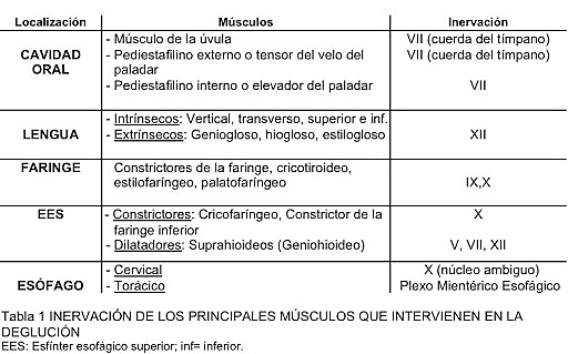 Control Neurologico de la deglucion