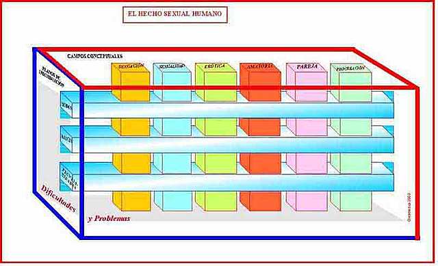 TEORÍA DE LOS SEXOS