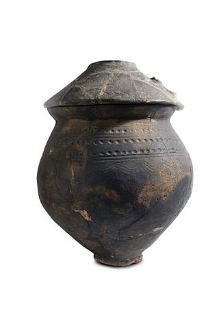 Cultura de los campos de urnas