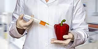 Desarrollan el primer organismo transgénico