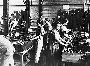 Society Becomes More Free And Fair (-1)