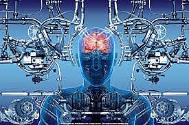 Órganos y miembros dañados