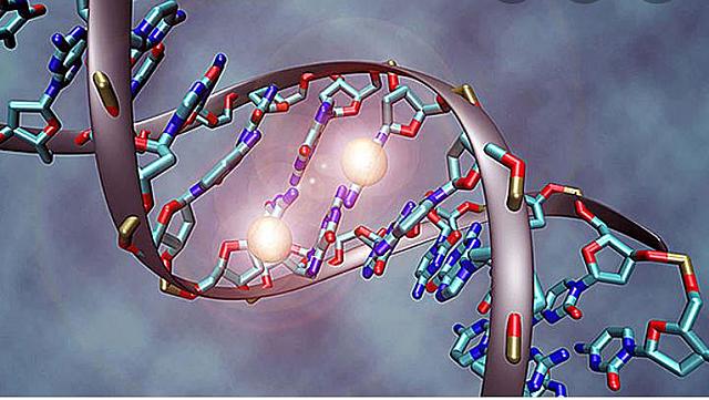 Descubrimiento del (GEN)