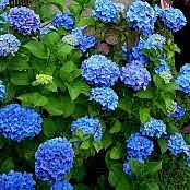 jour international des femmes