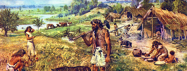 Pre historia etapa 5