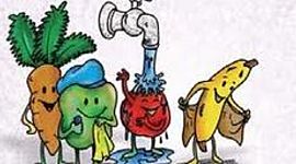 Timeline:  Antecedentes de la Inocuidad, e inicio de las regulaciones oficiales y marco jurídico