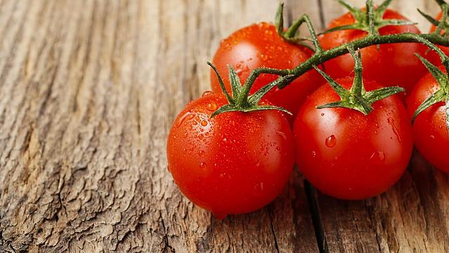 PRIMERA COSECHA SE RECOGERA EN EL MES DE MAYO