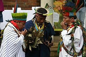 Disolución Resguardo Indígena de Bosa