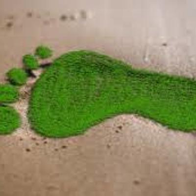 Timeline: Línea histórica de la sociedad y su ambiente