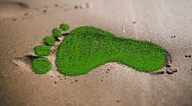 Timeline: Línea histórica de la sociedad y su ambiente