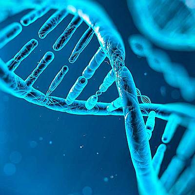 Timeline: La historia de la genetica