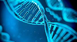 Timeline: La historia de la genetica