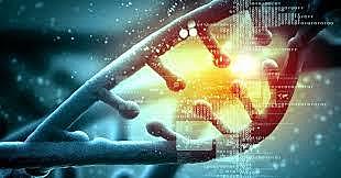 Se origina la ciencia de la Genética