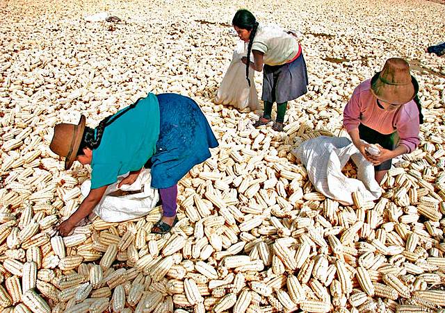 Época contemporánea etapa 2