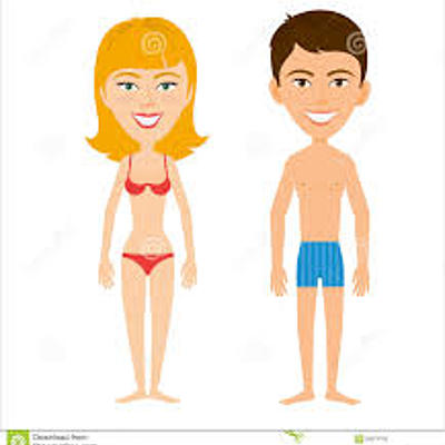 Timeline: la importancia de no exponerse a agentes teratogénicos