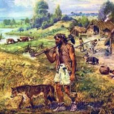 Timeline: Bases de los Origenes de la Etologia