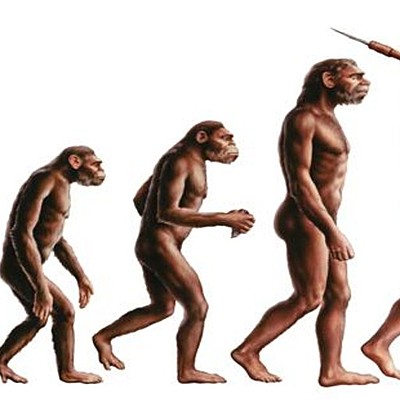 Timeline: Evolución del hombre