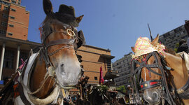 Timeline: La problemática de los carritos