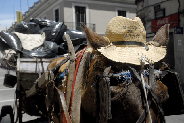 IMM fiscaliza cumplimiento de normas sobre residuos