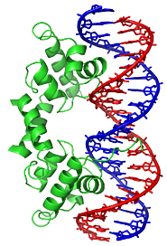 Principales componentes