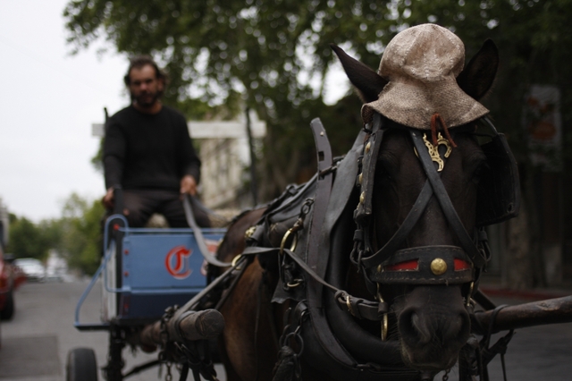 Un eterno problema: los carritos de hurgadores