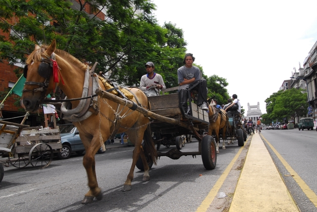 Bosca: Carritos deben dejar de circular