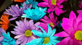 Timeline: Summer Vacation