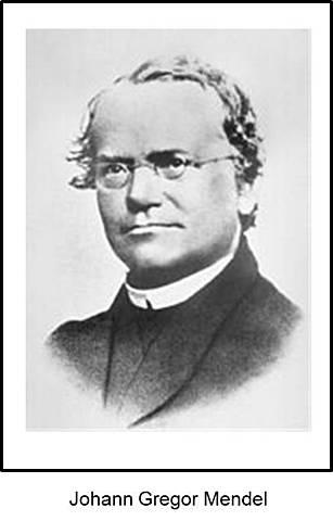 Mendel y el nacimiento de la Genética Clásica