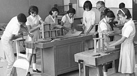 Timeline: Historia de la lingüistica