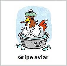 Gripe aviar