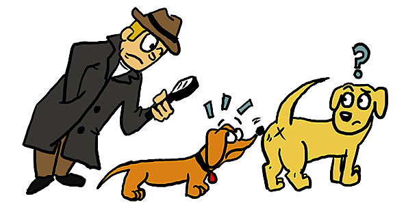 Importancia de la Etología en la M.V.Z