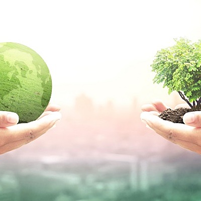 Timeline: Historia del desarrollo del concepto de sustentabilidad