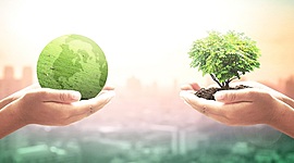 Timeline: Historia del desarrollo del concepto de sustentabilidad