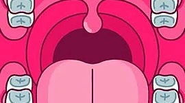 Timeline: Historia de la odontología