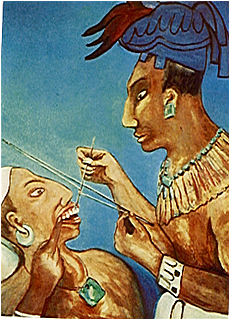 Descubrimiento de las propiedades de la hoja de coca por las civilizaciones de América