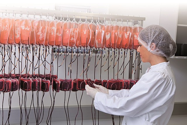 Primer deposito de sangre