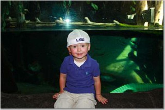 Brace yourself, Wyatt's here!