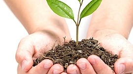 Timeline: Historia del Derecho Agrario Mexicano