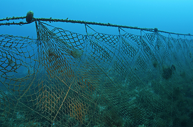 Fishing nets