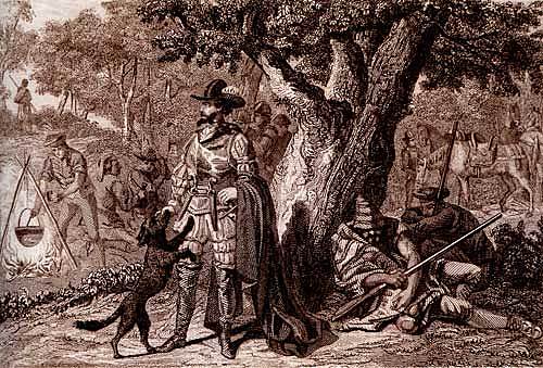 PEROT DE ROCAGUINARDA