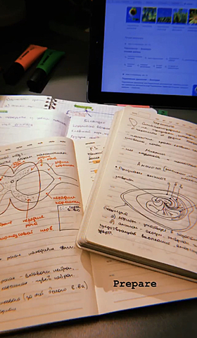 Биология ВСОШ Муниципальный этап