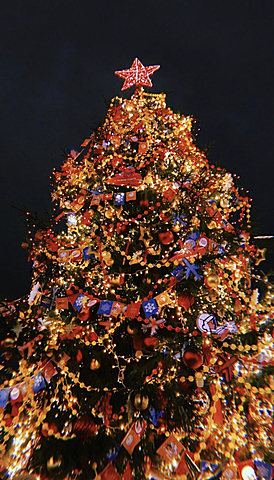 Прогулка по новогодней Москве