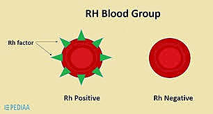 Karl Landsteiner Discovered the RH protein