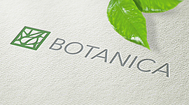 Timeline: План Ботанической Экспедиции.